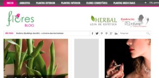 Blog Flores